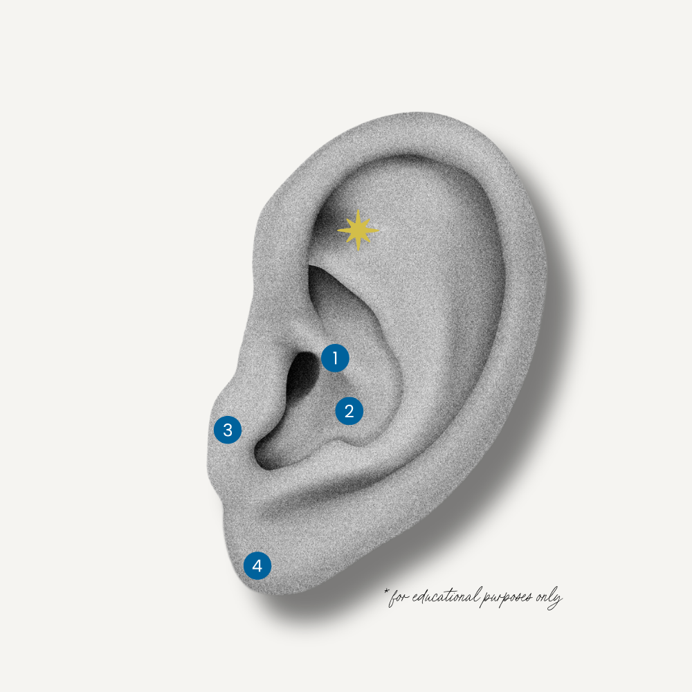ear seed chart showing placement zones for calm stress.
