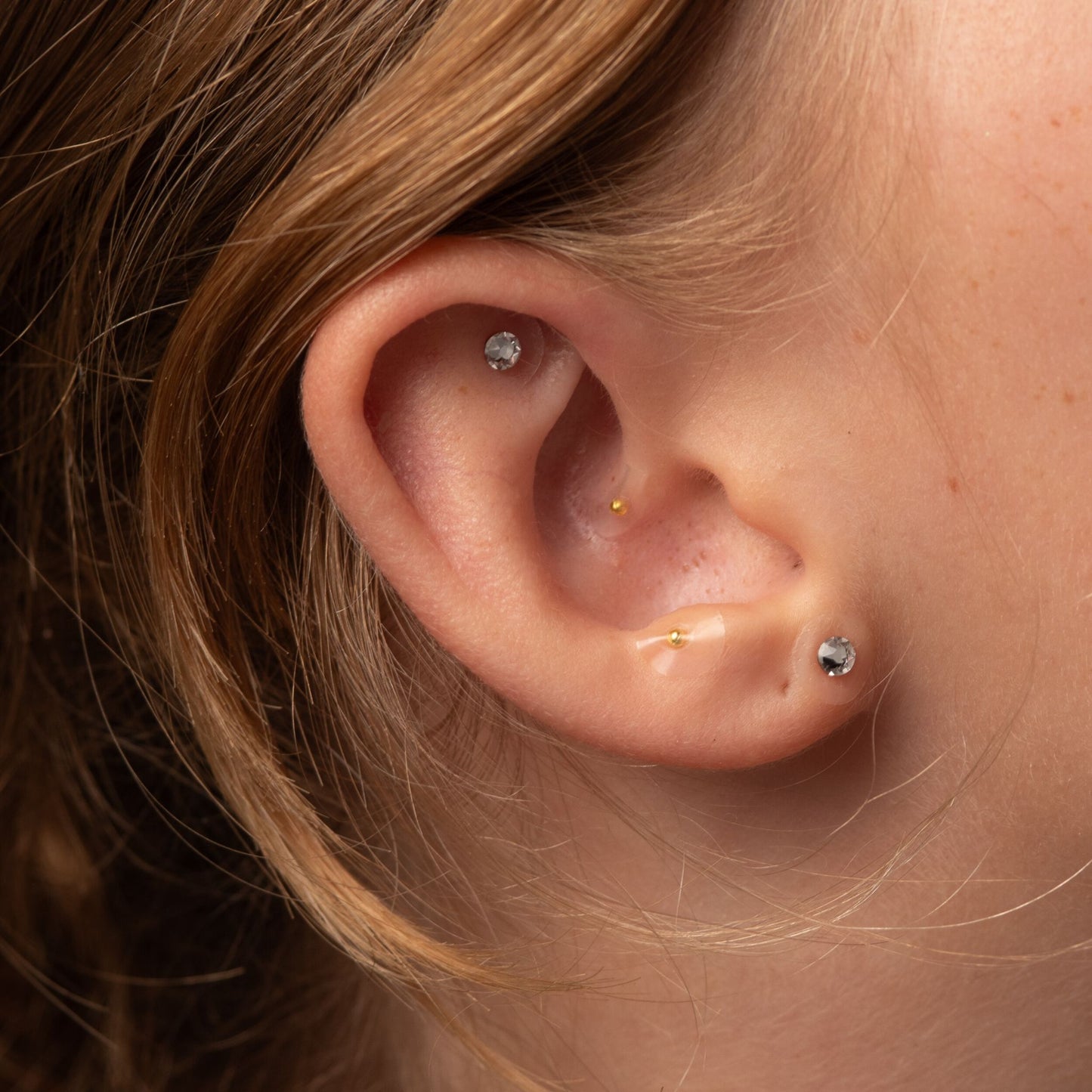 24k Gold Ear Seed Starter Kit