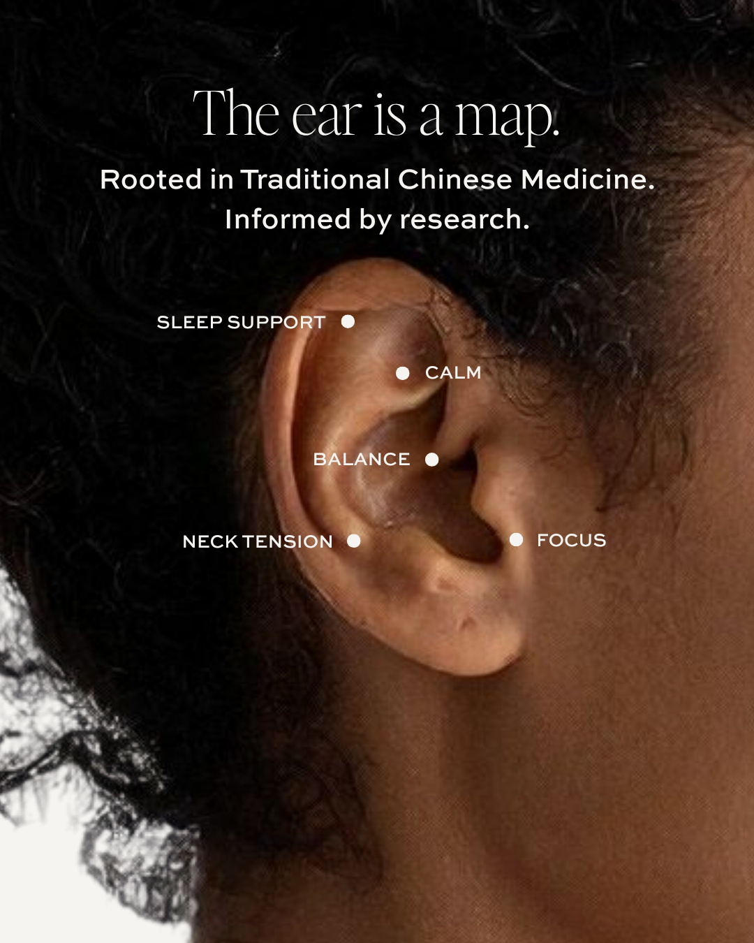 24k Gold Ear Seed Starter Kit