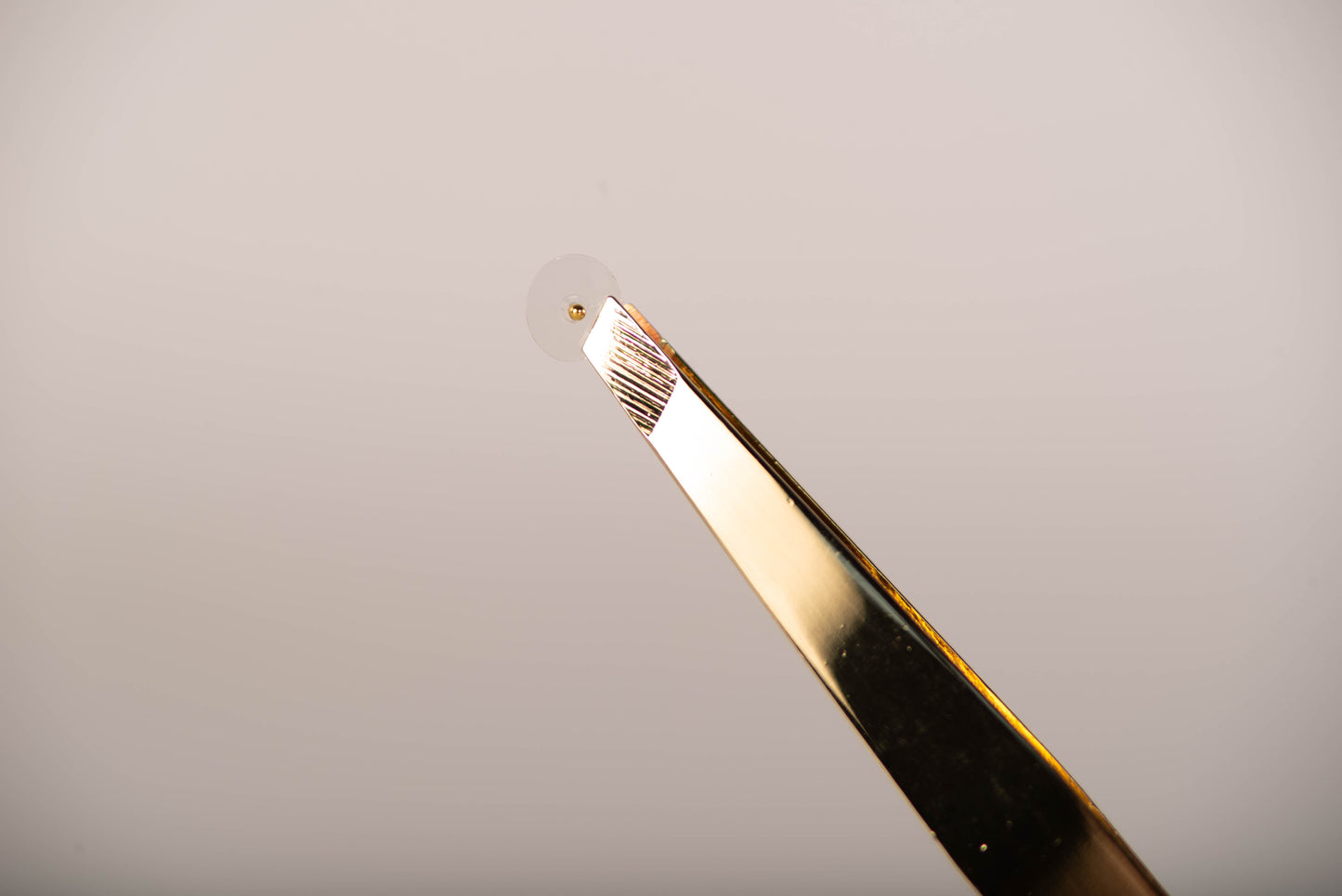 24k Gold Ear Seed Starter Kit